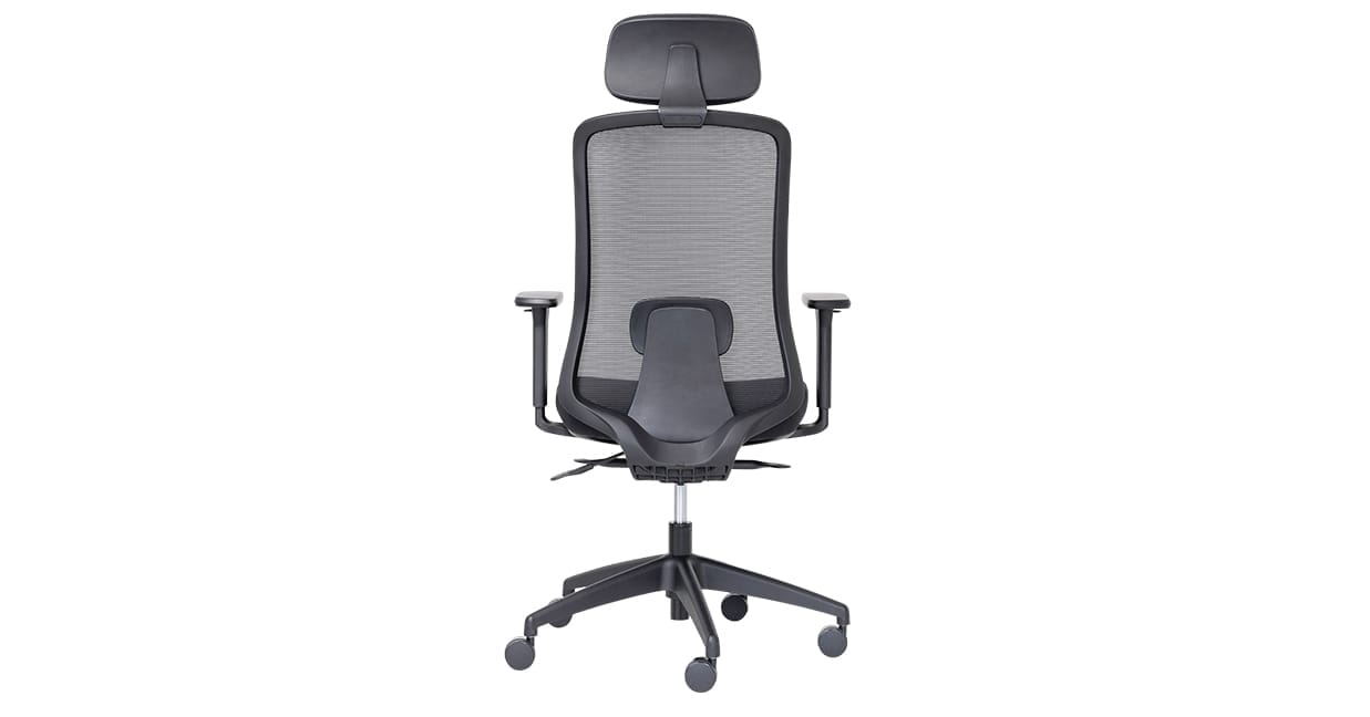 Buro Elan with arms and headrest